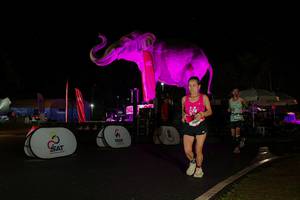 BIB: 
                            <button type="button" onclick="openModal(26543130)" class="btn btn-primary btn-sm float-right btn-popup" data-toggle="modal" data-target=".modal-high-quality">
                        <i class="fas fa-shopping-cart"></i> Add to Cart
                    </button>
                                            <button type="button" onclick="isThisMe(26543130, true)" class="btn btn-success btn-sm float-right btn-popup btn-isme hidden" data-toggle="tooltip" data-placement="bottom" title="นี่คือรูปของคุณใช่ไหม คลิกที่นี่เพื่อเอาเข้าอัลบั้ม">
                        <i class="fas fa-plus"></i> Add to album
                    </button>
                    <button type="button" onclick="isThisMe(26543130, false)" class="btn btn-warning btn-sm float-right btn-popup btn-isnotme hidden">
                        <i class="fas fa-ban"></i> Remove from album
                    </button>